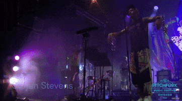 pitchfork music festival GIF by Pitchfork