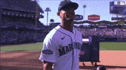 Major League Baseball Sport GIF by MLB