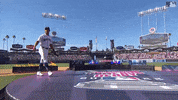 Major League Baseball Sport GIF by MLB