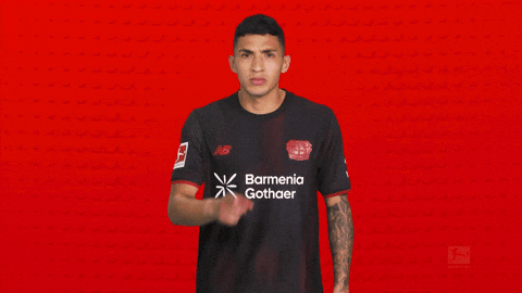 Bayer Leverkusen GIF by Bundesliga