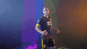 Meow Wolf Home Kit GIF by New Mexico United