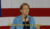 South Carolina GIF by Election 2020