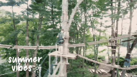 kelseynicoleoglesbee giphygifmaker giphyattribution GIF