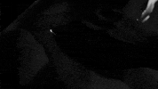 Black And White Hand GIF by Sub Pop Records