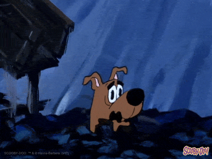 Dog No GIF by Scooby-Doo