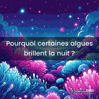 Bioluminescence GIF by ExpliquePourquoi.com