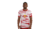 Football Sport Sticker by RB Leipzig