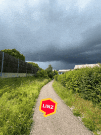 Sky Omg GIF by Linz News