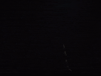 mergerecords crimson tide destroyer have we met dan bejar GIF