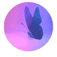 Butterfly Sticker