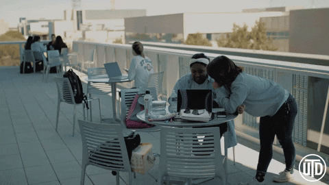 studying ut dallas GIF