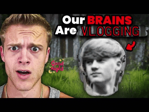 bradydrivesfast giphyattribution giphycreatortest aura ctv GIF