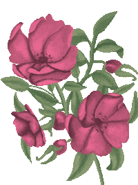Flower Grow Sticker