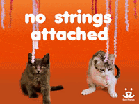 save them all best friends GIF by Best Friends Animal Society