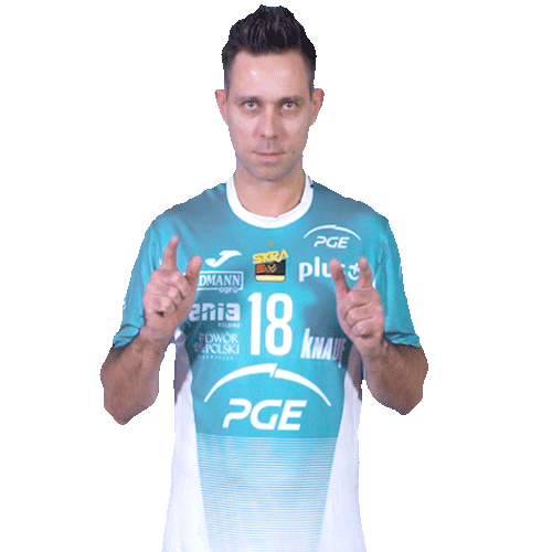 Look Volleyball Sticker by PGE Skra Bełchatów
