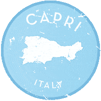 Summer Italy Sticker by The GelBottle Inc