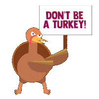 Renewable Energy Thanksgiving Sticker by INTO ACTION