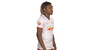 Posing Line Up Sticker by Bundesliga