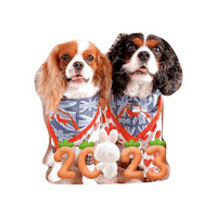 Happy Cavalierkingcharlesspaniel Sticker