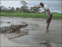 GIF by FirstAndMonday