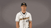 Baseball Calstatela GIF by Cal State LA Golden Eagles
