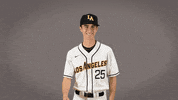 Baseball Calstatela GIF by Cal State LA Golden Eagles