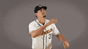 Baseball Calstatela GIF by Cal State LA Golden Eagles