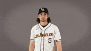 Baseball Calstatela GIF by Cal State LA Golden Eagles