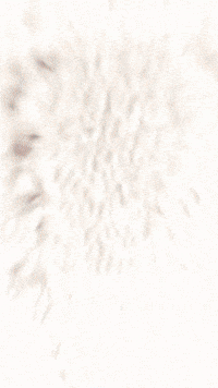 Bigchungus GIF by Youtooz