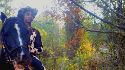 Horse Country GIF by Damez