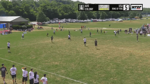 flikulti ultimate frisbee flik GIF