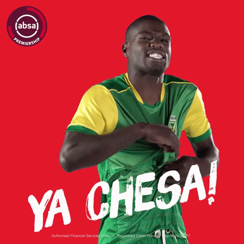 south african soccer GIF