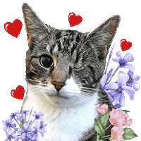 In Love Sticker