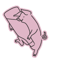 chateauneuf gris neuf flaske det norske studentersamfund Sticker