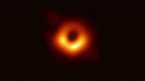 roverdotcom giphyupload black hole roverdotcom cosmic dog GIF