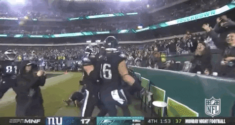 2019 Nfl Football GIF by NFL