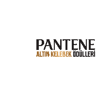 red carpet gold Sticker by Pantene
