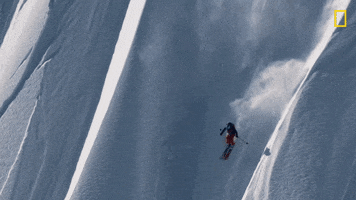 Nat Geo Sport GIF by National Geographic Channel