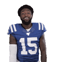 Indianapolis Colts No Sticker by NFL