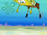 season 6 pet or pets GIF by SpongeBob SquarePants