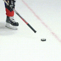 SKODACZ fun car hockey win GIF