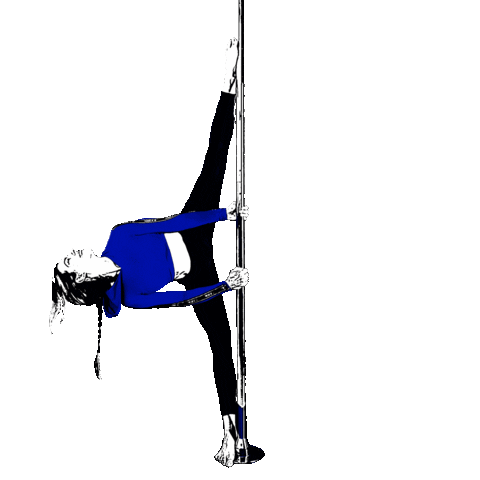 raistudiolt giphyupload stretching split poledance Sticker