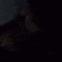 Fight Reaction GIF by Red Bull