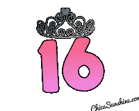 Birthday Princess Sticker by ChicaSunshineShop