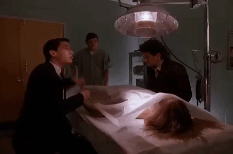 season 1 GIF by Twin Peaks on Showtime