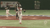 world baseball classic GIF by MLB
