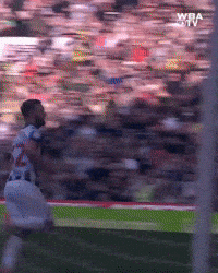 West Brom Wba GIF by West Bromwich Albion