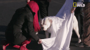 doggie winter wonderland pupparazzi GIF by Nat Geo Wild