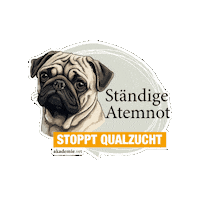 Sticker by akademievet
