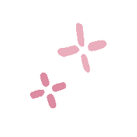 MaryKayPeruu seminario seminario mary kay seminario mary kay perú mary kay perú Sticker